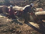 重機土工　伐採　竹林伐採　造成工事　太陽光　メガソーラー