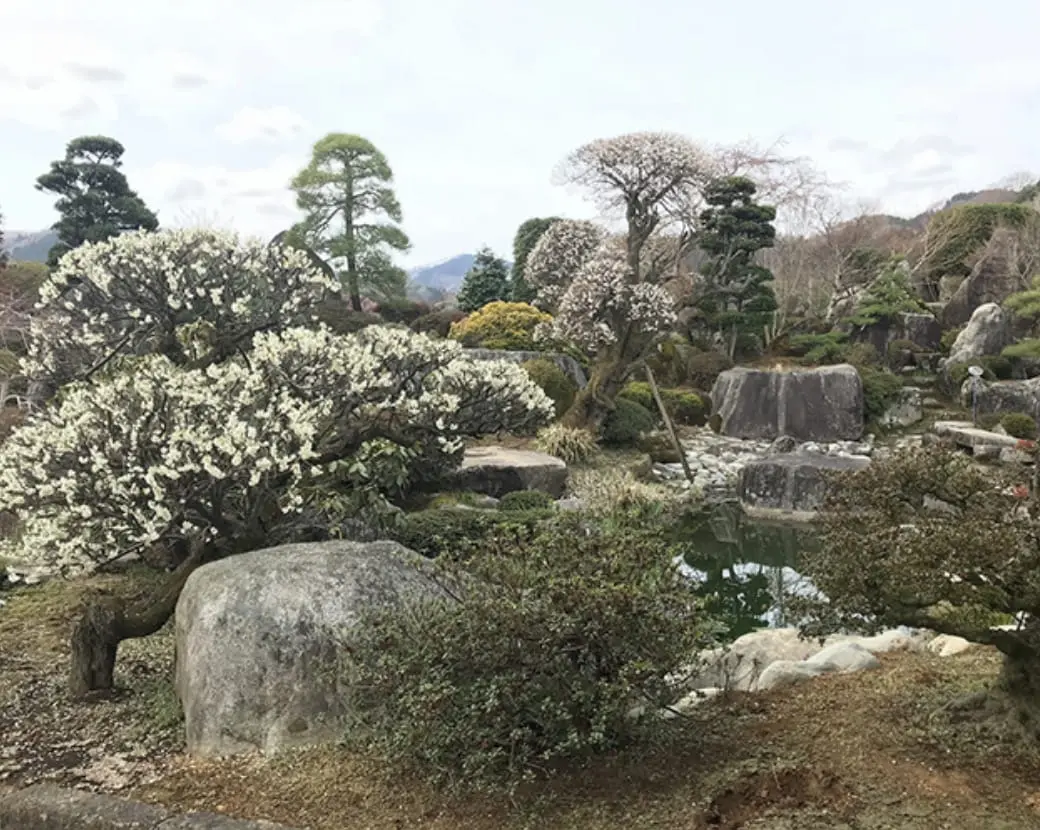 庭園のメインイメージ画像